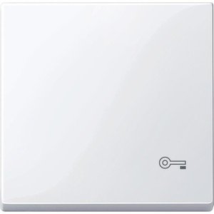 Фото Schneider Electric System M MTN3303-0325 Клавиша одиночная "Ключ" (белая)