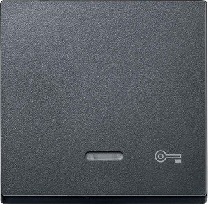 Фото Schneider Electric System M MTN430714 Клавиша одиночная с линзой "Ключ" (индикация, антрацит)