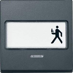 Фото Schneider Electric System M MTN434614 Клавиша одиночная с полем для написи и окошком (индикация, антрацит)