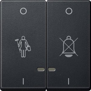 Фото Schneider Electric System M MTN3429-0144 Клавиша двойная "Перечеркнутый звонок" и "Горничная" с окошком (индикация, антрацит)