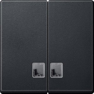 Фото Schneider Electric System M MTN437514 Клавиша двойная с прямоугольным окошком (индикация, антрацит)