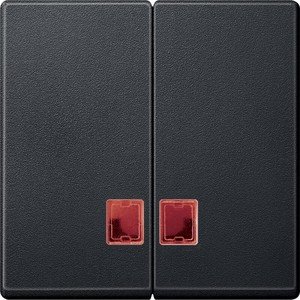Фото Schneider Electric System M MTN3456-0144 Клавиша двойная с красным прямоугольным окошком (индикация, антрацит)