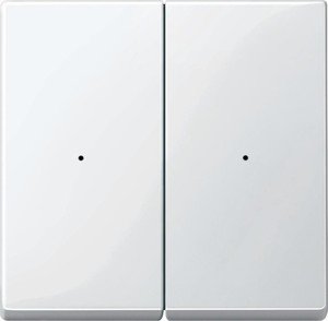 Фото Schneider Electric System M MTN619219 Клавиша двойная (полярно-белая)