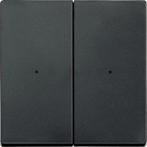 Фото Schneider Electric System M MTN625214 Клавиша двойная (антрацит)