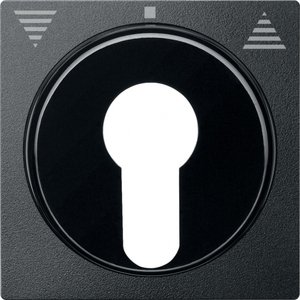 Фото Schneider Electric System M MTN319314 Клавиша двойная для рольставней с фиксатором (антрацит)
