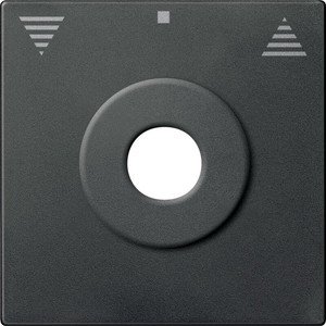 Фото Schneider Electric System M MTN3883-0414 Клавиша для рольставней с ключом (антрацит)