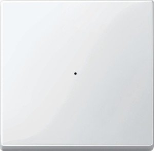 Фото Schneider Electric System M MTN619119 Клавиша одиночная (KNX, полярно-белая)