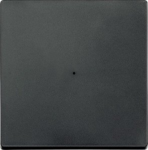 Фото Schneider Electric System M MTN625114 Клавиша одиночная (KNX, антрацит)
