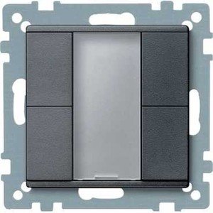 Фото Schneider Electric System M Plus MTN627614 Выключатель двухкнопочный (KNX, под рамку, индикация, скрытая установка, антрацит)