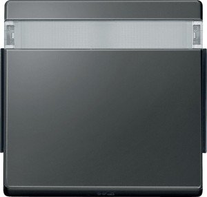 Фото Schneider Electric Merten Aquadesign MTN343914 Клавиша одиночная с полем для надписи (IP44, антрацит)
