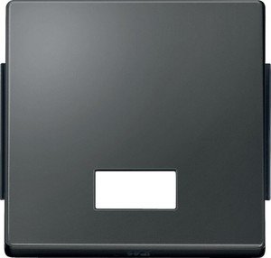 Фото Schneider Electric Merten Aquadesign MTN343814 Клавиша одиночная с окошком для символа (IP44, антрацит)