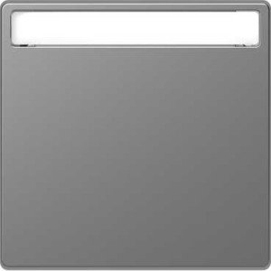 Фото Schneider Electric Merten D-Life MTN3360-6036 Клавиша одиночная (поле для надписи, нержавеющая сталь)