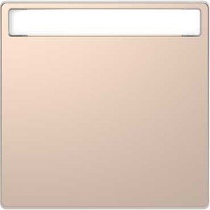 Фото Schneider Electric Merten D-Life MTN3360-6051 Клавиша одиночная (поле для надписи, шампань)