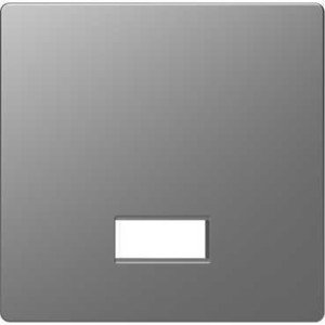 Фото Schneider Electric Merten D-Life MTN3350-6036 Клавиша одиночная (окошко для символа, нержавеющая сталь)