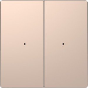 Фото Schneider Electric Merten D-Life PlusLink MTN5220-6051 Клавиша двойная (шампань)