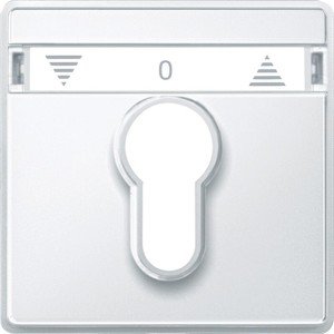 Фото Schneider Electric Merten D-Life MTN348219 Передняя панель для полуцилиндрических замков (полярно-белая)
