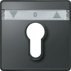 Фото Schneider Electric Merten D-Life MTN348214 Передняя панель для полуцилиндрических замков (антрацит)