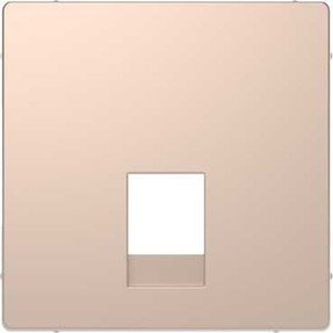 Фото Schneider Electric Merten D-Life MTN4215-6051 Крышка розетки информационной (RJ11/12, шампань)