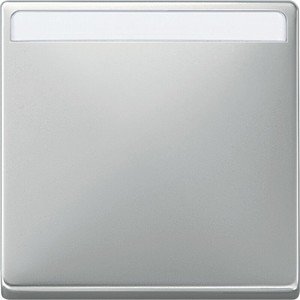 Фото Schneider Electric Merten Artec/Antique MTN412346 Клавиша выключателя одиночная (поле для надписи, стальная)