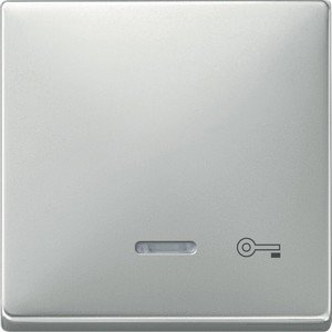 Фото Schneider Electric Merten Artec/Antique MTN437646 Клавиша выключателя "Ключ" одиночная (линза индикатора, стальная)