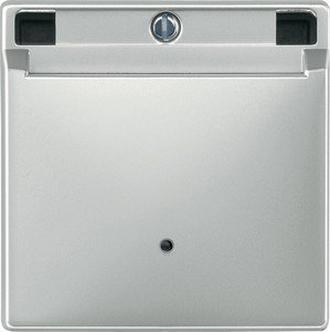 Фото Schneider Electric Merten Artec/Antique MTN315346 Передняя панель выключателя с ключ-картой (стальная)