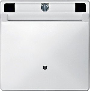 Фото Schneider Electric Merten Artec/Antique MTN315319 Передняя панель выключателя с ключ-картой (полярно-белая)