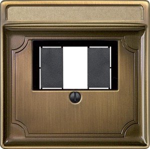 Фото Schneider Electric Merten Artec MTN297843 Крышка розетки информационной (RJ11/RJ45/Audio/USB, TAE, латунь)