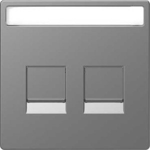 Фото Schneider Electric Merten D-Life MTN4564-6036 Крышка розетки информационной (2xRJ45, поле для надписи, нержавеющая сталь)