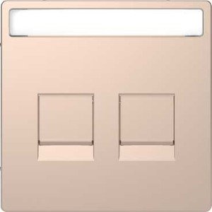 Фото Schneider Electric Merten D-Life MTN4564-6051 Крышка розетки информационной (2xRJ45, поле для надписи, шампань)