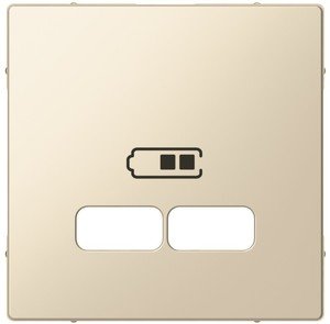 Фото Schneider Electric System M MTN4367-0319 Крышка розетки зарядной (2xUSB, полярно-белая)