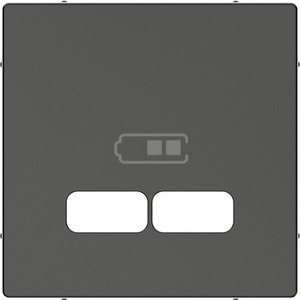 Фото Schneider Electric System M MTN4367-0414 Крышка розетки зарядной (2xUSB, антрацит)