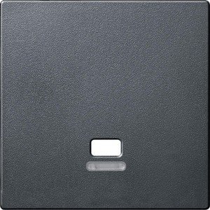 Фото Schneider Electric System M MTN3380-0414 Крышка выключателя со шнурком (индикация, антрацит)