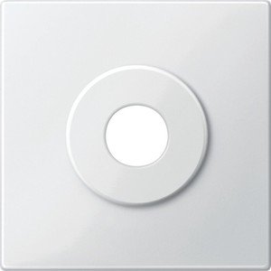 Фото Schneider Electric Merten System M MTN312919 Передняя панель для выключателя с ключом (полярно-белая)