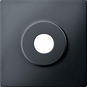 Фото Schneider Electric Merten System M MTN313914 Передняя панель для выключателя с ключом (антрацит)