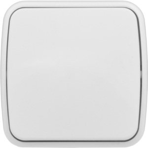 Фото EKF EGV10-021-10 Минск Выключатель 1-клавишный ОП 10А белый Basic