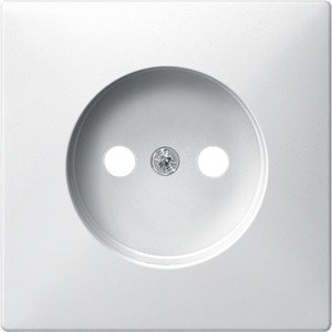 Фото Schneider Electric Merten Artec/Antique MTN2031-4019 Крышка розетки (2P, полярно-белая)