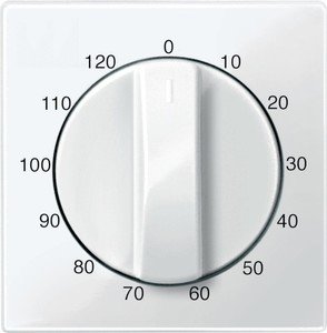 Фото Schneider Electric Merten System M MTN567519 Передняя панель для таймера (120 мин., полярно-белая)
