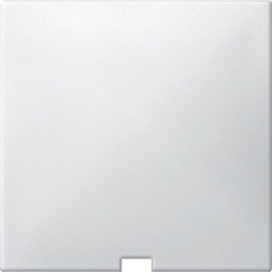 Фото Schneider Electric Merten Artec/Antique MTN416819 Передняя панель для выключателя со шнурком (полярно-белая)