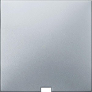 Фото Schneider Electric Merten Artec/Antique MTN416860 Передняя панель для выключателя со шнурком (алюминий)