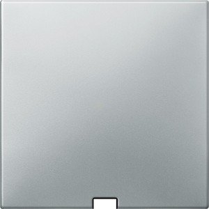 Фото Schneider Electric Merten Artec/Antique MTN416846 Передняя панель для выключателя со шнурком (стальная)
