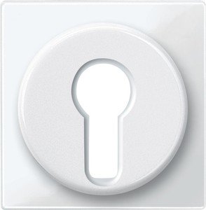 Фото Schneider Electric Merten System M MTN319519 Передняя панель для полуцилиндрических замков (полярно-белая)