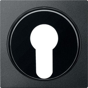Фото Schneider Electric Merten System M MTN318114 Передняя панель для полуцилиндрических замков (антрацит)