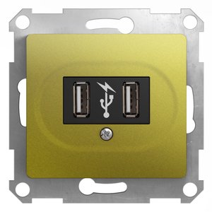 Фото Schneider Electric Glossa GSL001032 Розетка USB (2xUSB, под рамку, скрытая установка, фисташковая)