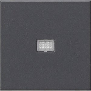 Фото Gira System55 029828 Клавиша одиночная (окошко, антрацит)