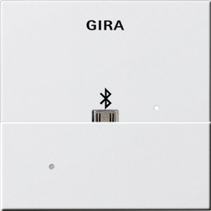Фото Gira System55 228503 Накладка USB-микро-B для вставки док-станции (белая глянцевая)
