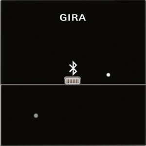Фото Gira System55 228705 Накладка Apple Lightning для вставки док-станции (черное стекло)