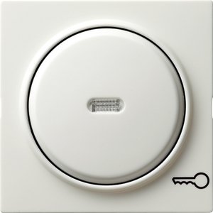 Фото Gira S-Color 028740 Клавиша одиночная (линза, "ключ", белая)