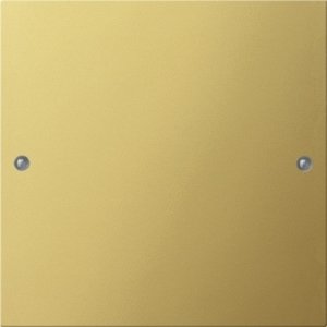 Фото Gira System55 2131604 Клавиша одиночная (поле для надписи, латунь)