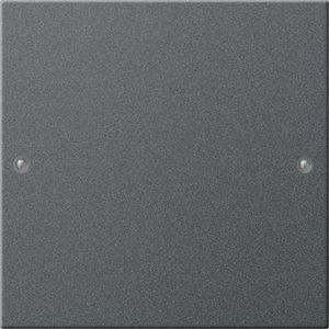Фото Gira System55 218128 Клавиша одиночная (лакированная, поле для надписи, антрацит)