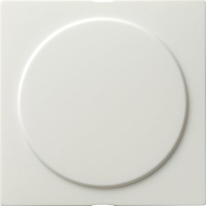 Фото Gira S-Color 026840 Заглушка (под рамку, скрытая установка, белая)